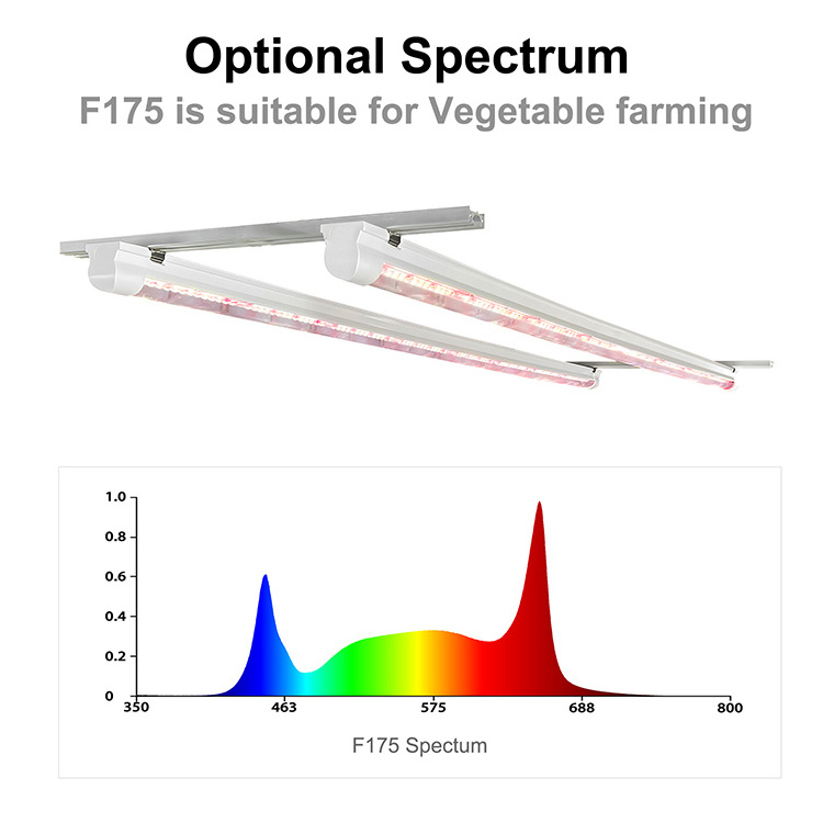 Koray PT8 Commercial Hydroponic vegetable grow lights Vertical Farming  Led Grow Tube Light 32W 36W