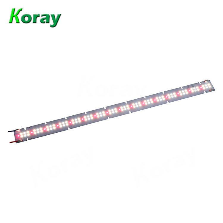 Full Spectrum Waterproof Horticulture Engines Linear Modules LED Grow Light Bars Vertical Farm Greenhouse Lighting LM301H LM301B