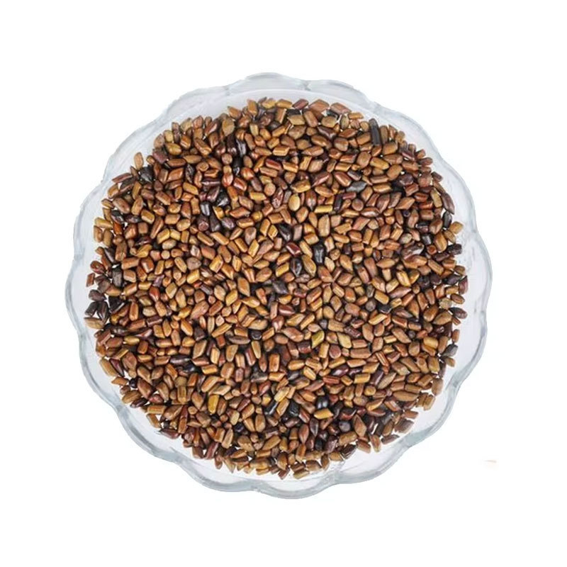 Wild Cassia Tora 100% Natural Pure & Clean Best Quality Organic Seeds Manufacturer