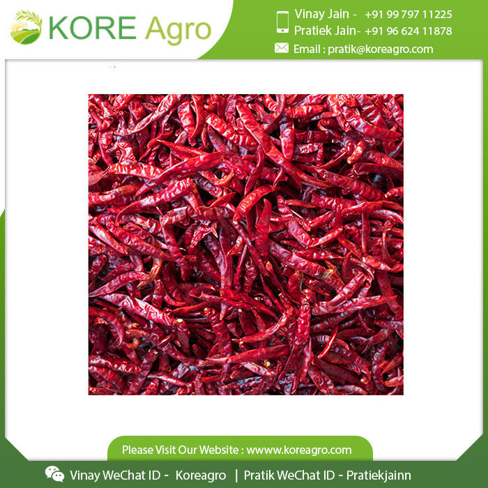 Wholesale Price Dried Red Chilli Single Spices & Herbs Natural Red Chilli From Indian Manufacture