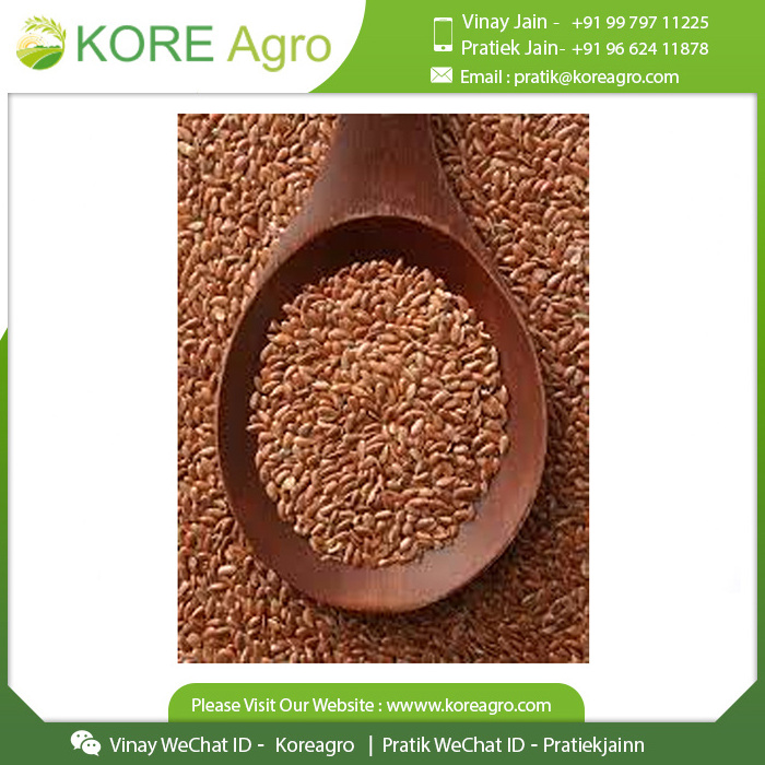 Indian Exporter of Pure Natural Organic Flax Seeds Single Spices & Herbs At Wholesale Price