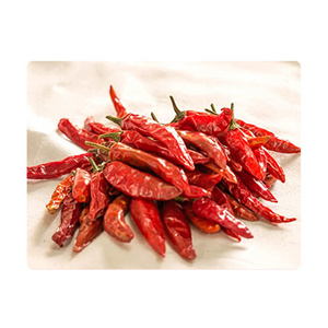 Spicy Red Chilli Whole Top Quality Indian Mexican Tasty Spice Manufacturer Global Supplier