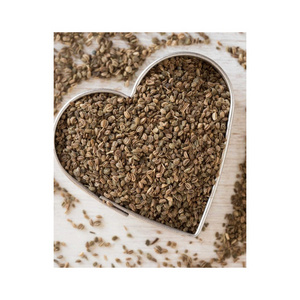 Farm Fresh Ajwain Carom Seeds 100% Natural Ajwain Carom Seeds From Indian Manufacturer