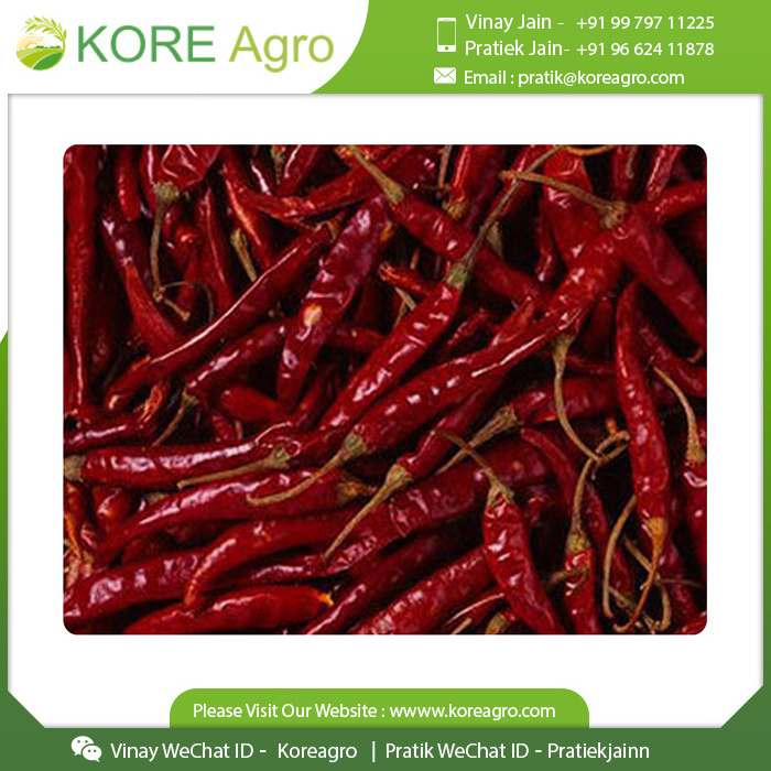 Spicy Red Chilli Whole Top Quality Indian Mexican Tasty Spice Manufacturer Global Supplier