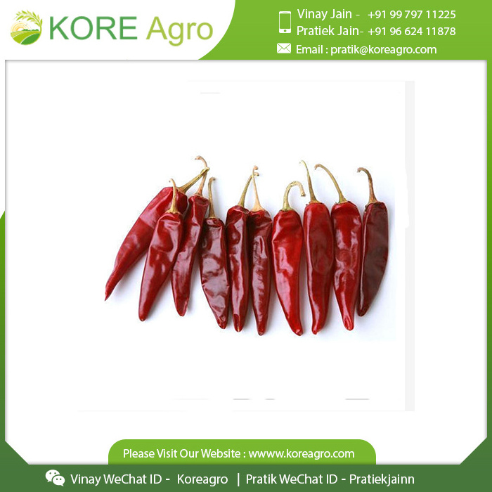 Wholesale Price Dried Red Chilli Single Spices & Herbs Natural Red Chilli From Indian Manufacture