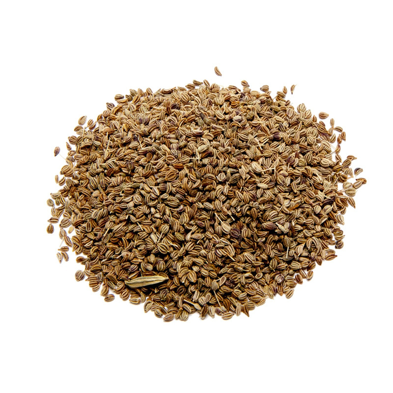 Farm Fresh Ajwain Carom Seeds 100% Natural Ajwain Carom Seeds From Indian Manufacturer