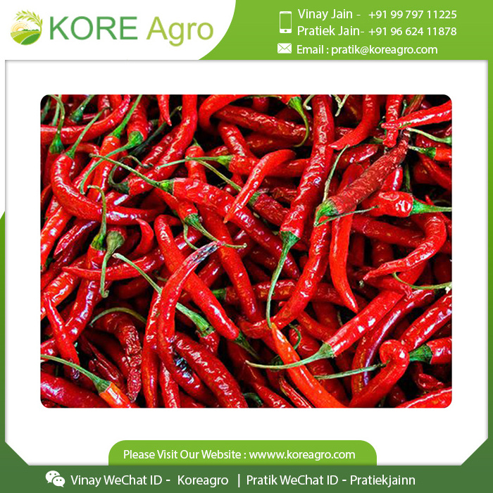 Spicy Red Chilli Whole Top Quality Indian Mexican Tasty Spice Manufacturer Global Supplier