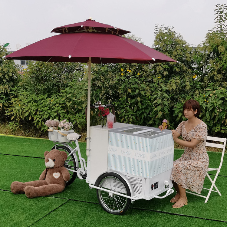 Hot sell refrigerated bike with 220v AC freezer electric ice cream motor tricycle three wheeler commercial bicycle food cart