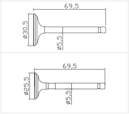 173F Diesel Engine Fitting Intake and Exhaust Valves Essential Machinery Engine Parts for 173F engine valve