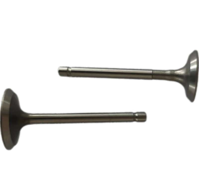 173F Diesel Engine Fitting Intake and Exhaust Valves Essential Machinery Engine Parts for 173F engine valve