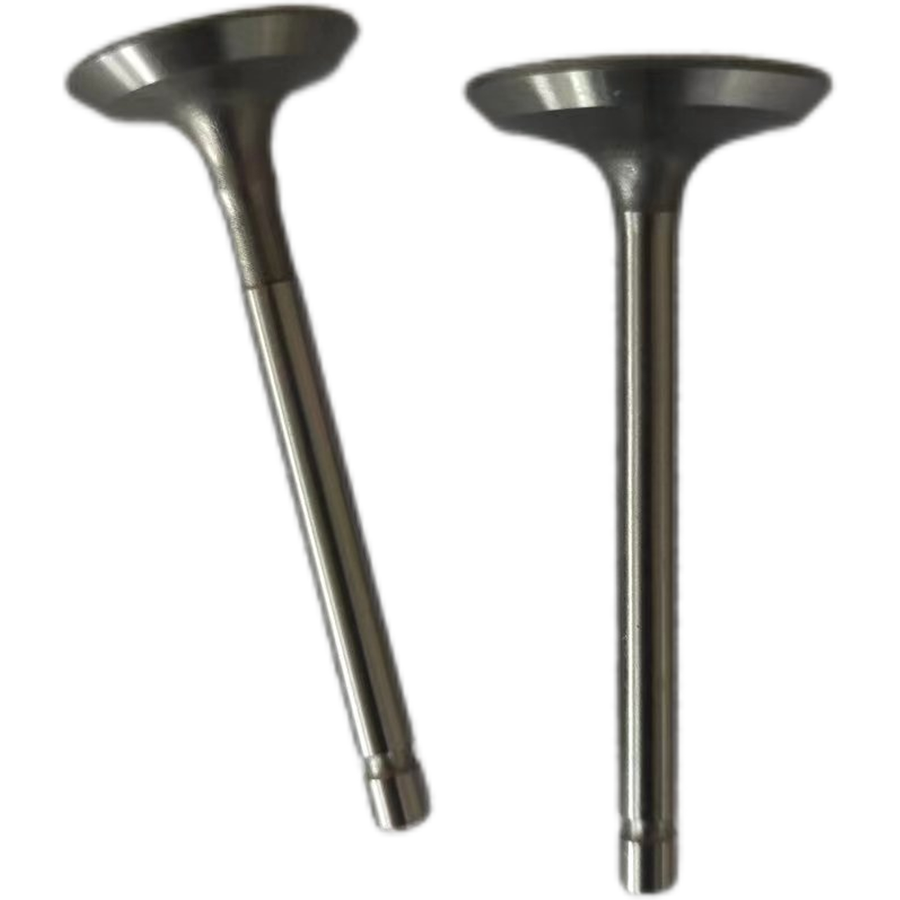 173F Diesel Engine Fitting Intake and Exhaust Valves Essential Machinery Engine Parts for 173F engine valve