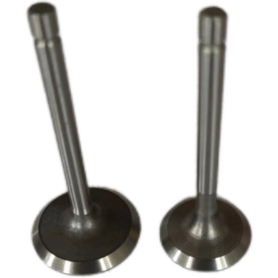 173F Diesel Engine Fitting Intake and Exhaust Valves Essential Machinery Engine Parts for 173F engine valve