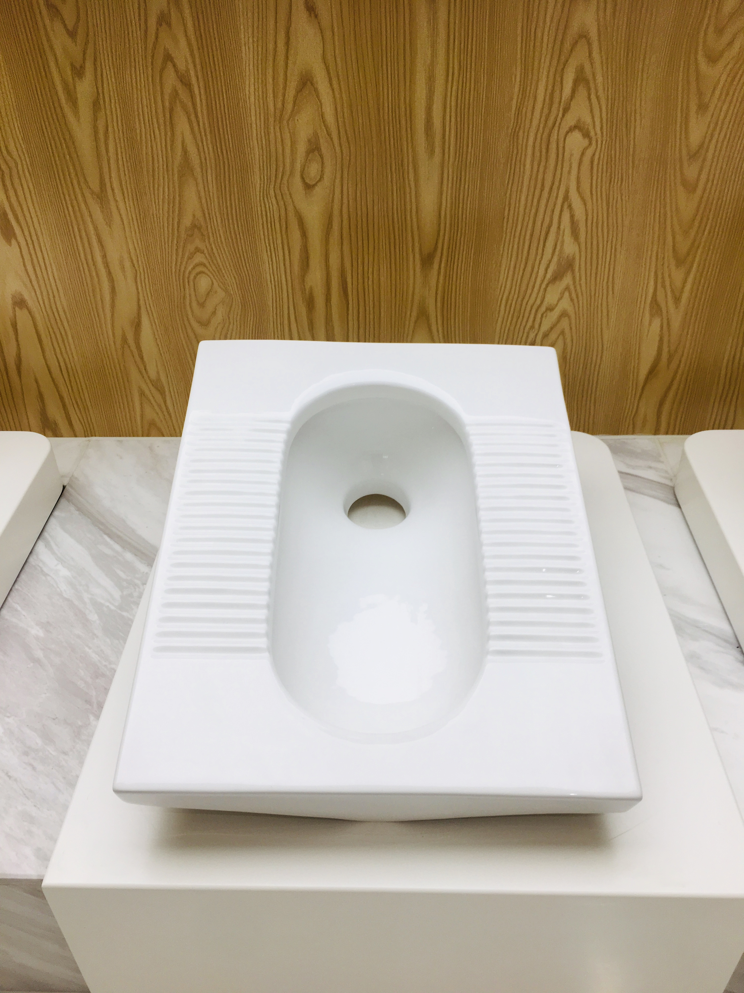 JIAHAO JH-767 Factory direct supply cheap squatting toilet siphonic porcelain ceramic wc pan