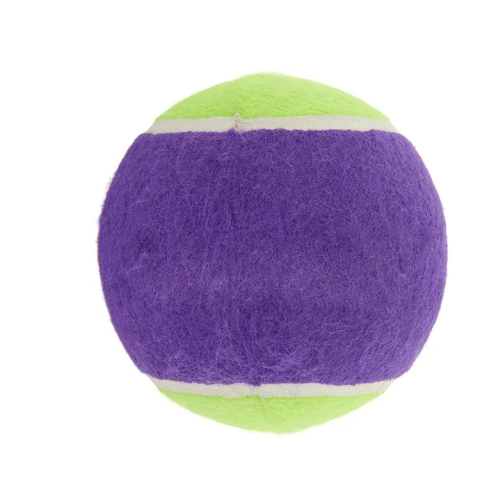 New Arrival Custom Colors and Logo Professional Outdoor Sports Beach Games Cricket Training Tennis Balls