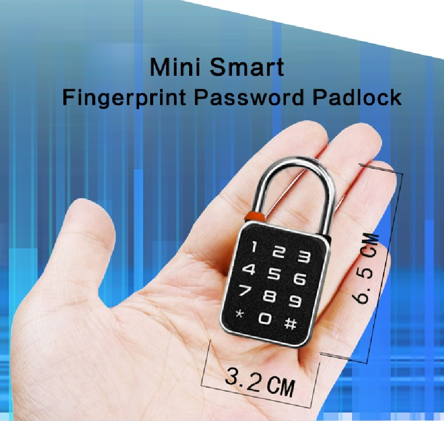 Double sided app waterproof small mini size fingerprint password smart padlock for backpack lockers wardrobs