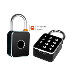 Double sided app waterproof small mini size fingerprint password smart padlock for backpack lockers wardrobs