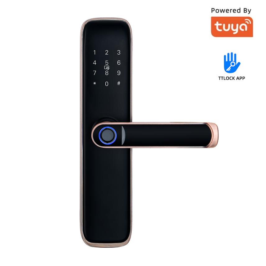 Smart Locks Home Key Homekit Use Password Keypad Fingerprint Recognition Handle Lever Hardware Cerradura Push Pull Door Lock