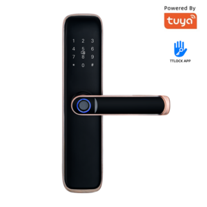 Smart Locks Home Key Homekit Use Password Keypad Fingerprint Recognition Handle Lever Hardware Cerradura Push Pull Door Lock