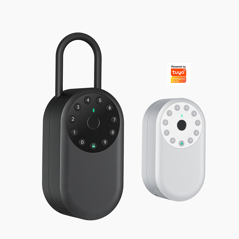 New arrival Tuya Wireless Wifi Outdoor Wall Mounted Electric Fingerprint Lock Key Safe Box App Smart Airbnb Door Lock