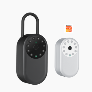 New arrival Tuya Wireless Wifi Outdoor Wall Mounted Electric Fingerprint Lock Key Safe Box App Smart Airbnb Door Lock