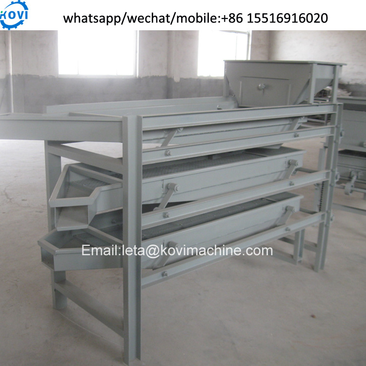 apricot kernel cracking cracker peeling machine almond cracking and shelling machine hazelnut sheller line