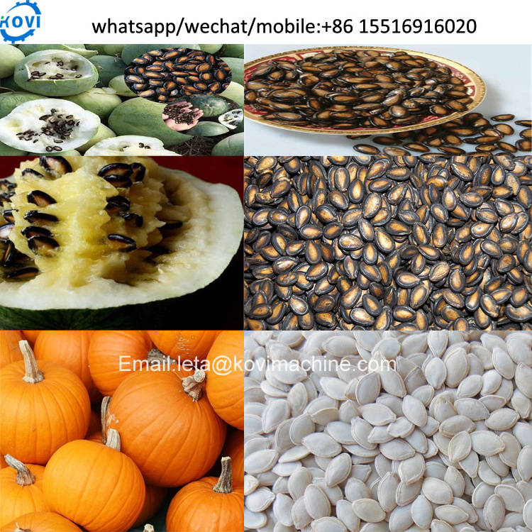 pumpkin seeds processing machine pumpkin seeds harvesting combine Watermelon seed removal machine