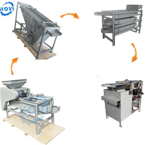 apricot kernel cracking cracker peeling machine almond cracking and shelling machine hazelnut sheller line