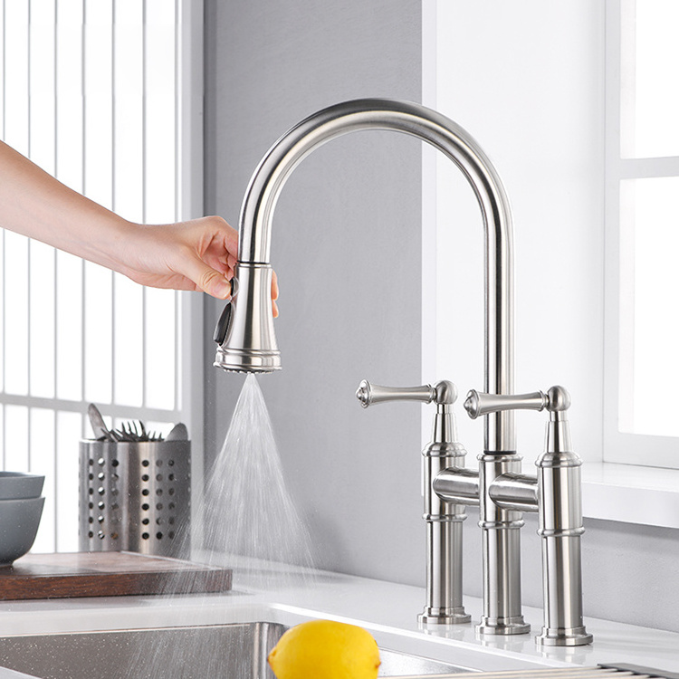 Anti-Fingerprint Spot Brushed Nickel 2 Lever Double Bridge Kitchen Faucet with Pull Down Spout