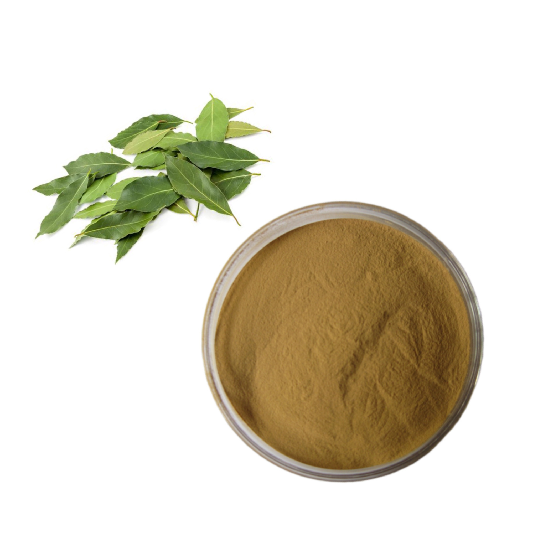 Factory Supply Herbal Extract Eucommia Ulmoides Leaf Extract