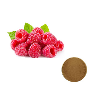 Factory Supply High Quality Raspberry Extract Red Raspberry Extract Powder