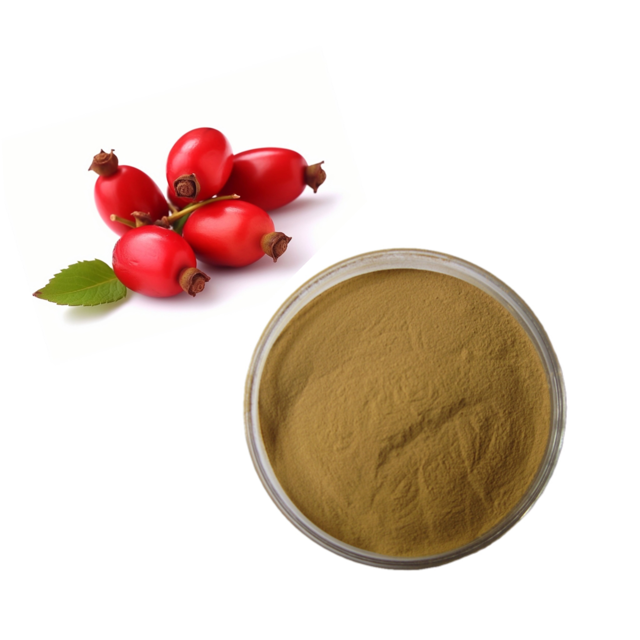 Hot Selling High Quality Rose Hips Extract Rose Fruit Extract Powder