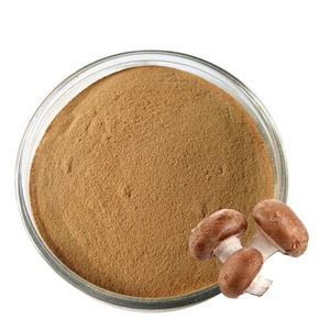 High Quality Supplement Shitake Mushroom Extract Powder