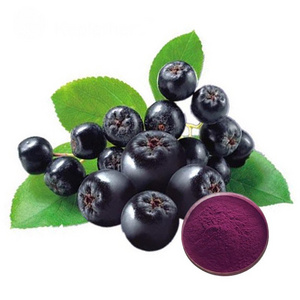 Bulk Price Wild Cherry Berry Powder Wild Cherry Berry Juice Powder