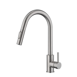 Hot and Cold Water Single Handle Pull-out Flexible Hoses Brushed Nickel Kitchen Faucet 304 Stainless Steel Modern Contemporary