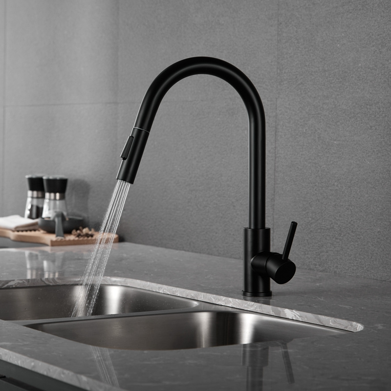 Black Kitchen Faucet Stainless Steel 304 Water Tap Modern Kichen Kitchen Taps Pull Out Sprayer Kitchen Mixer Sink Faucets