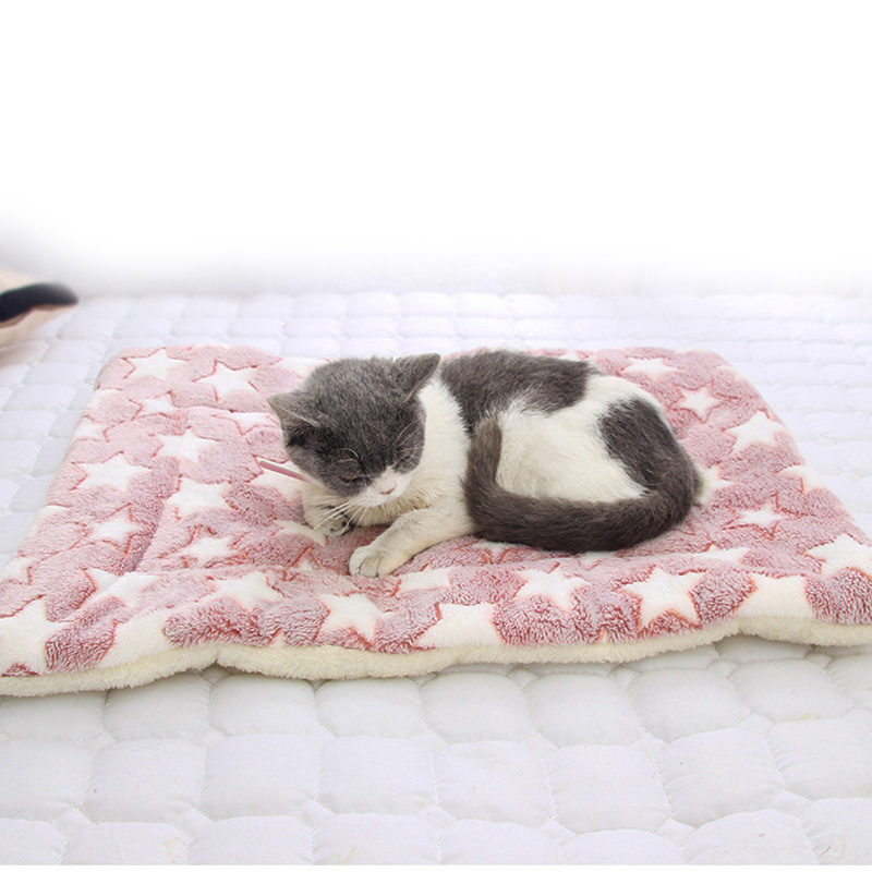 Coral Fleece Soft Fluffy Warm Pet Autumn Winter Thicken Mat pads Dog Cat Blanket for Little Dogs on the Pet Beds sofa