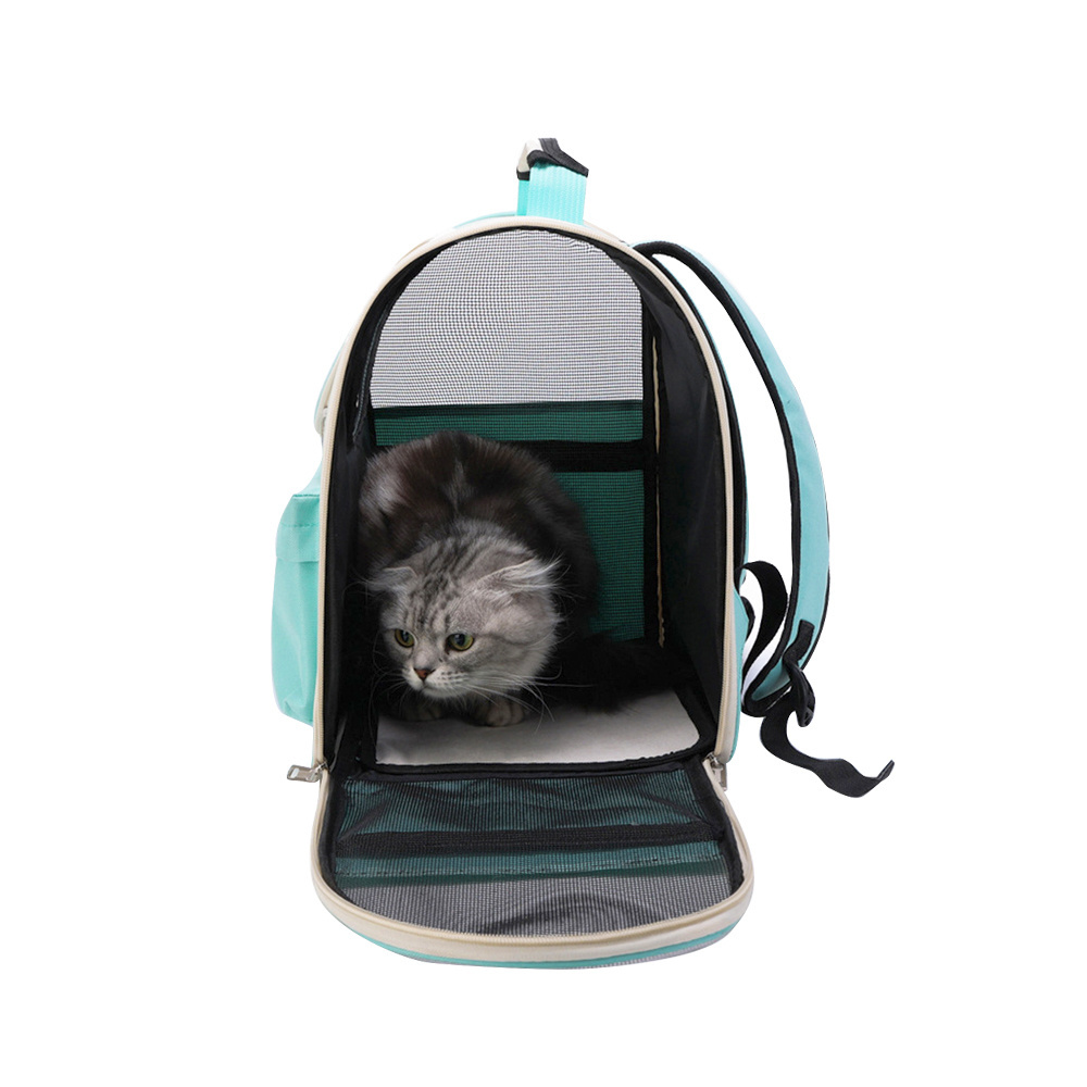 Custom Airline Approved Portable Foldable space capsule bubble transparent breathable cat dog bag travel pet carrier backpack