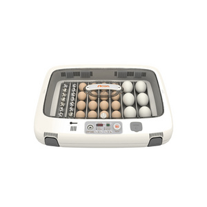 Ranking Top Unique Egg Candling System Included Handle Incubator for Eggs Rcom MAX 50 DO