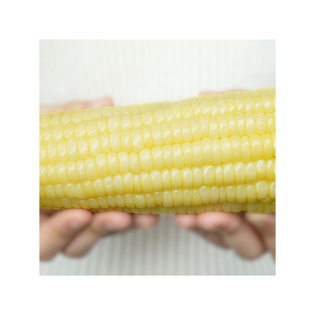 Best Fresh Organic Sweet Whole Yellow Corn Kernel Wholesale Price Factory Bulk In A Bag