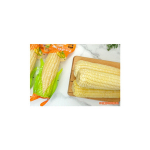 Factory Wholesale Price Superior Quality Best Selling Natural Yellow Color Fresh Sweet Corn Top Quality Sweet Corn