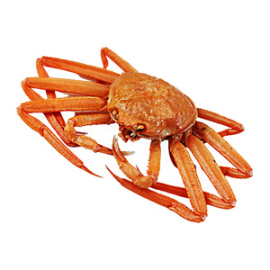 Frozen snow crab Wild Caught Frozen Snow Crab Legs Boiled Snow Crab Legs Japanese seafood product