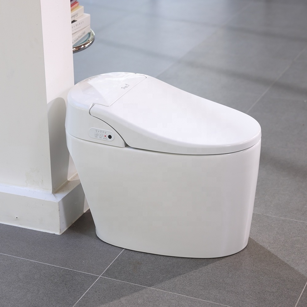 Interior Toilet Seat TREVI Smart Toilet ALB-R14605 Female Cleanliness Care Effective Toilet use With Free Space Child Mode