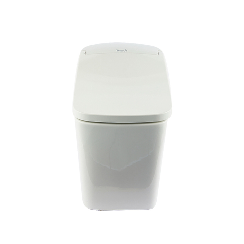 Constipation Toilet TREVI Smart Toilet ALB-R14895S Effective Toilet use With Free Space Water Pressure Adjustable