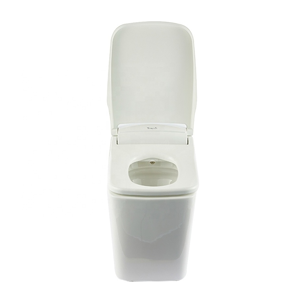 Constipation Toilet TREVI Smart Toilet ALB-R14895S Effective Toilet use With Free Space Water Pressure Adjustable