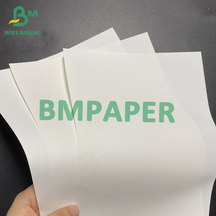 8pt 10pt 12pt 14pt Polypropylene Synthetic Paper For 2 Sides Laser Printing 13inch x 19inch PET Materials