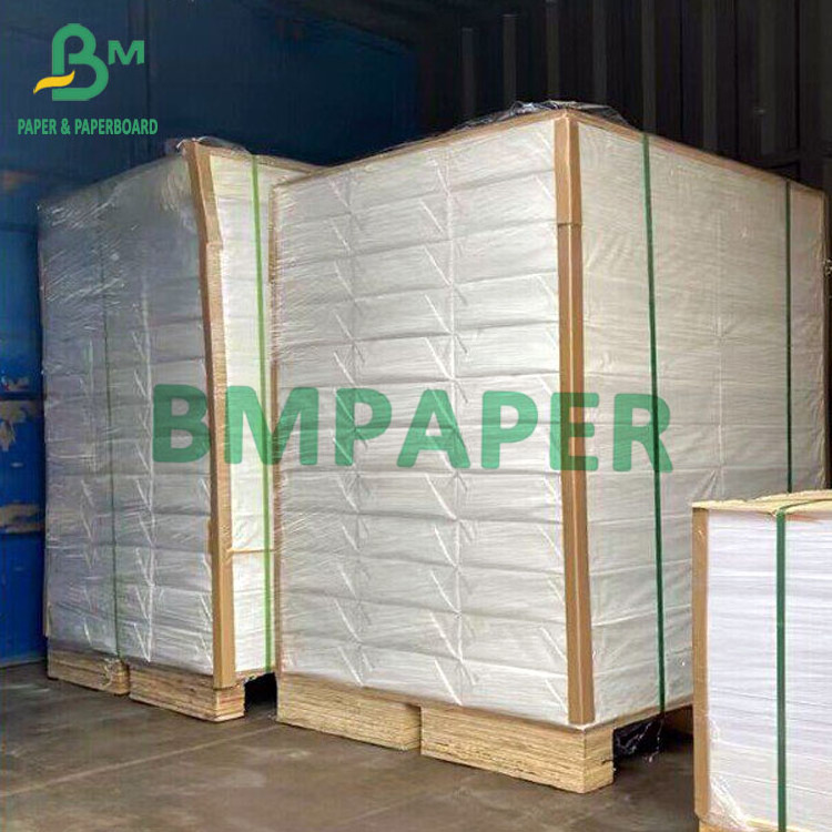 8pt 10pt 12pt 14pt Polypropylene Synthetic Paper For 2 Sides Laser Printing 13inch x 19inch PET Materials