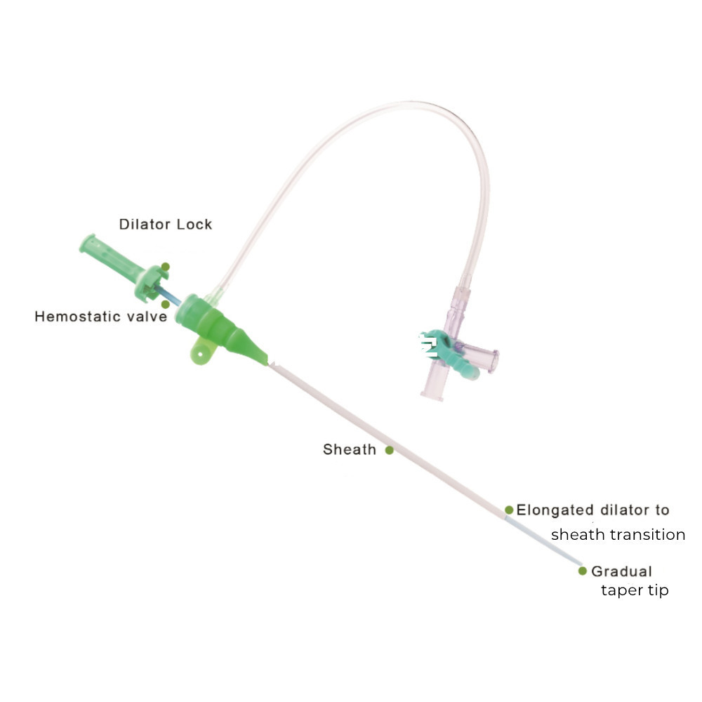 Disposable introducer Sheath KIT