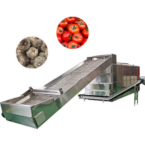 Multi Function Industrial Drying Oven Belt Dryer Conveyor Low Energy Vegetable And Fruit Tunnel Belt Dryer