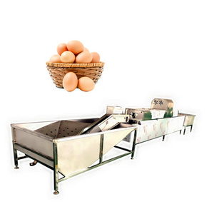 Egg Washing Drying  Grading Machine Egg Processing Line Chicken Egg Washers Cleaning Machine