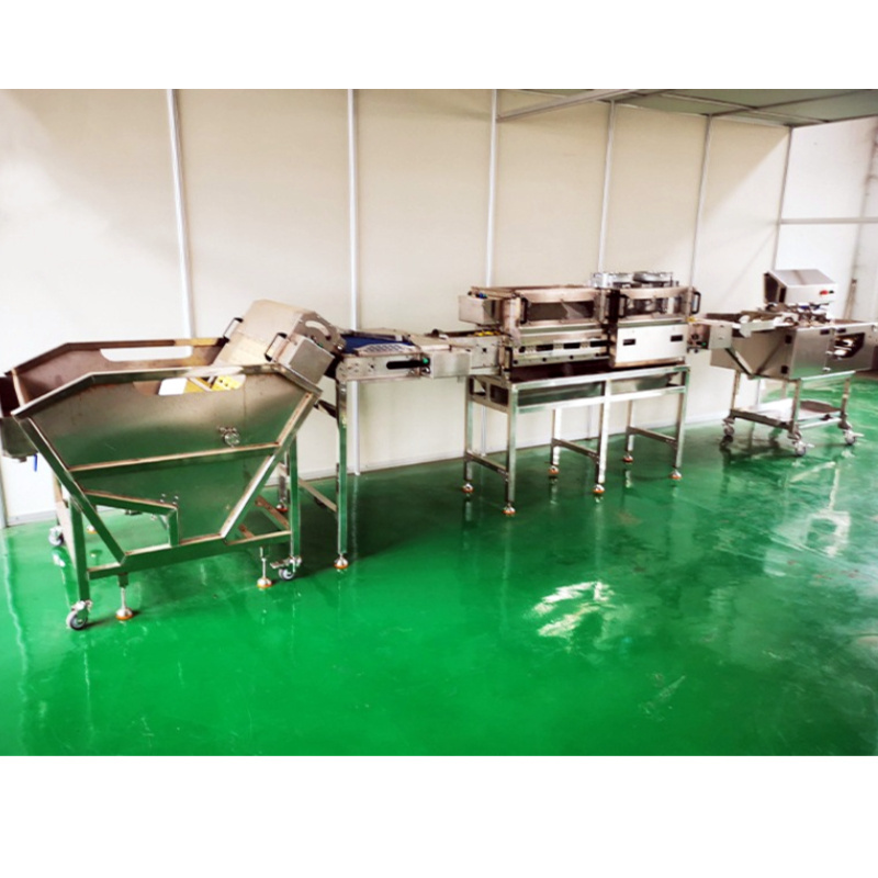 Egg Washing Drying  Grading Machine Egg Processing Line Chicken Egg Washers Cleaning Machine